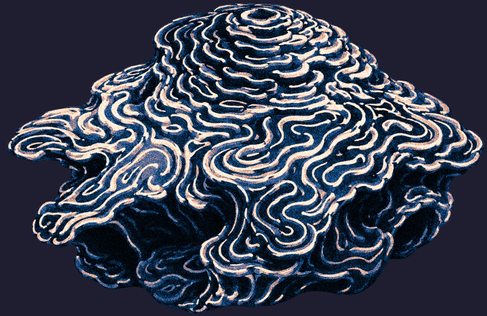 Fine branching patterns across an abstract dark rock surface.