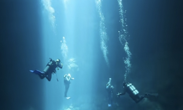 Divers below the surface in shafts of blue light.